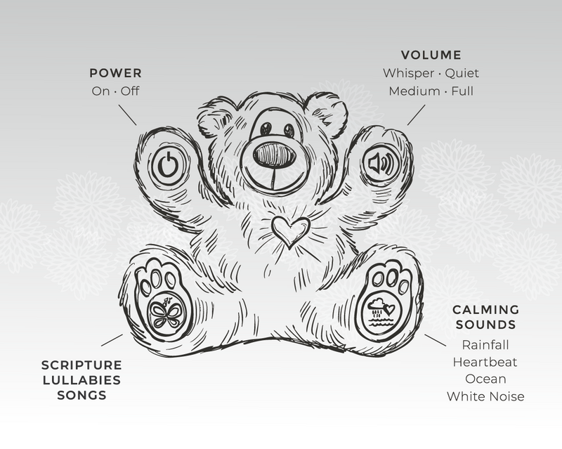 TeddyBear_Infographic 2