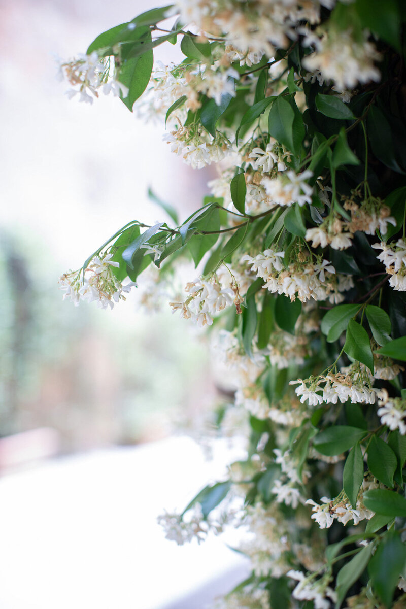 Borgo-Stomennano-Tuscany-Wedding-Hilary-Louis-15
