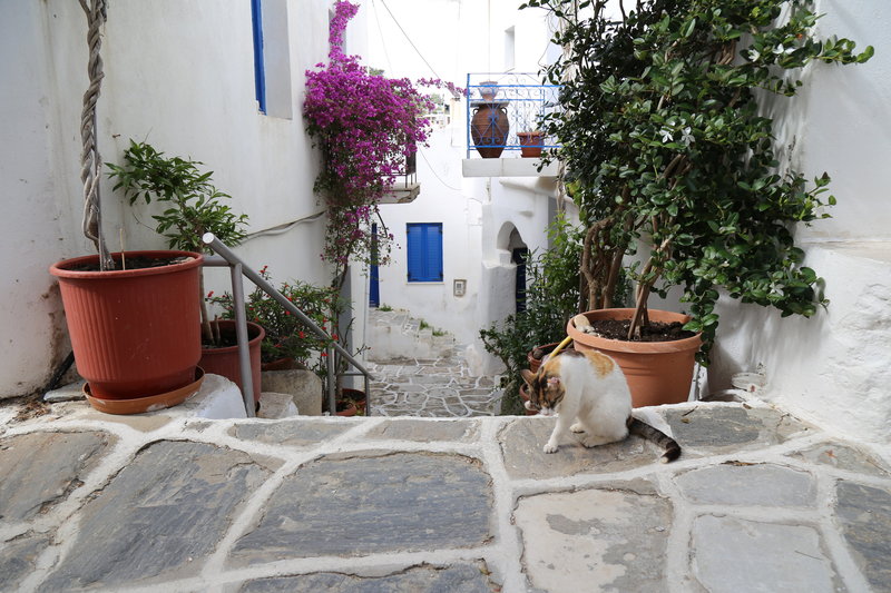 Okreablue Retreat Center Views in Paros, greece YTT Program