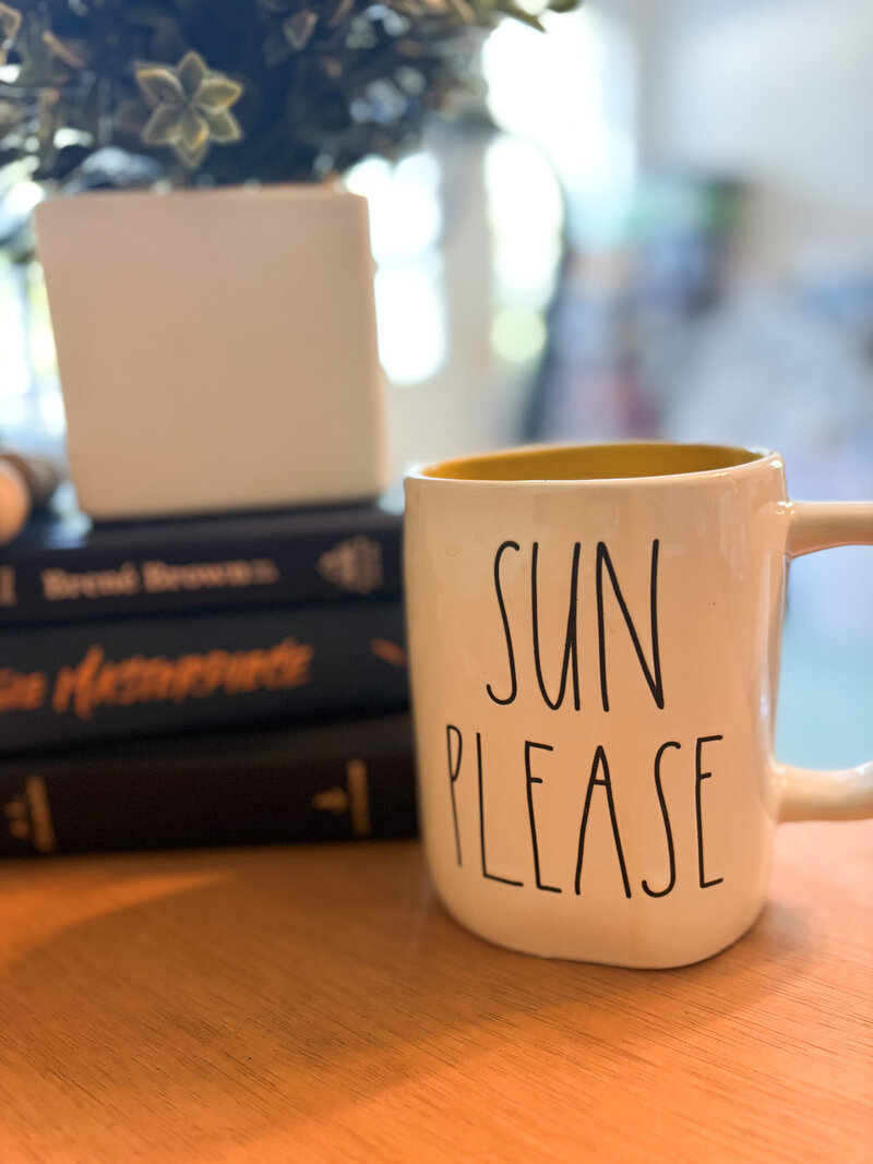 "Sun Please" mug next to potted plant and books in a soft, sunlit home office setup. 