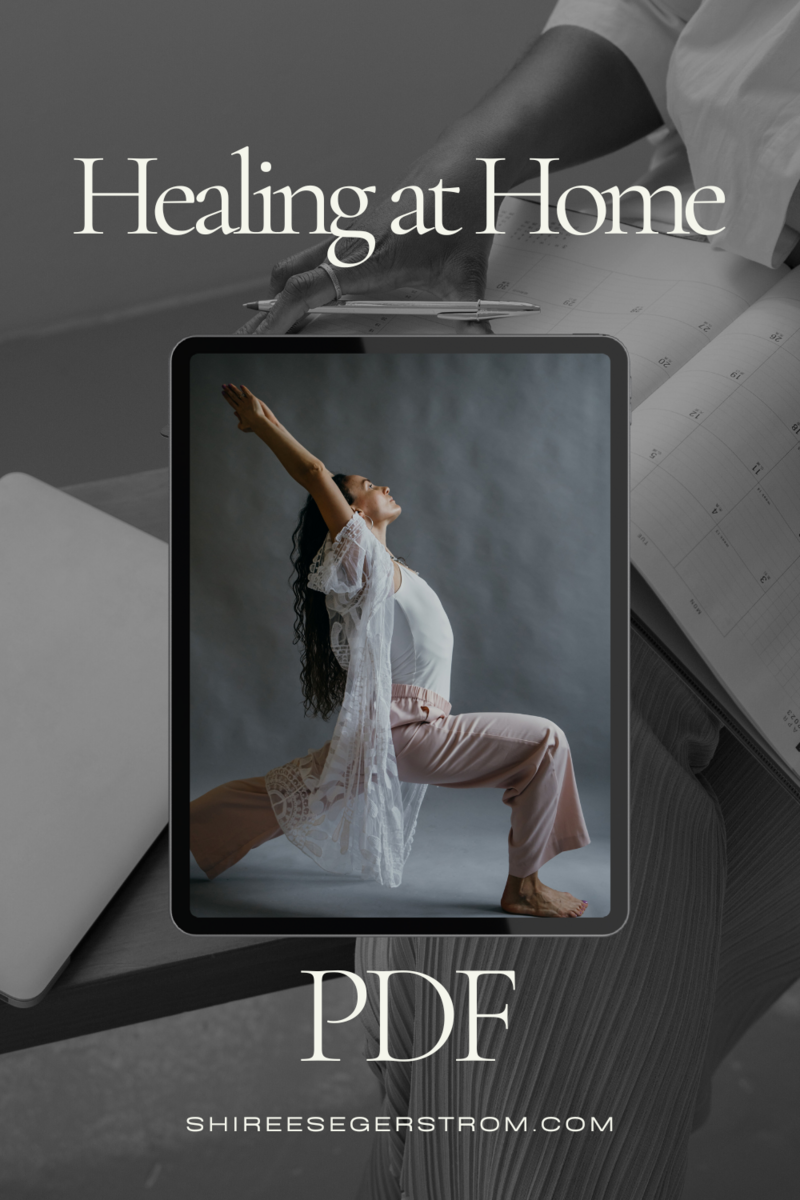 Shiree Segerstrom Holistic Home Virtual Design Bonus Healing at Home PDF