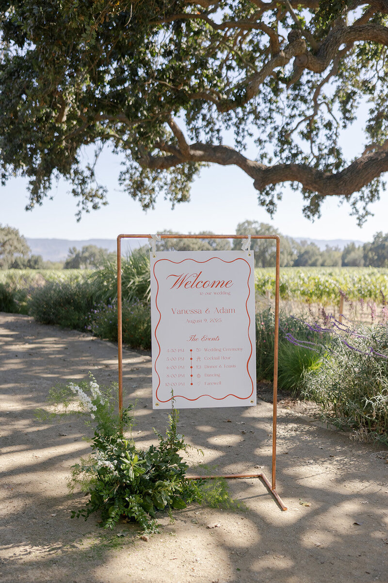 Malaya Images - 080925 Vanessa and Adam - Sneak Peek (15 of 85)_websize