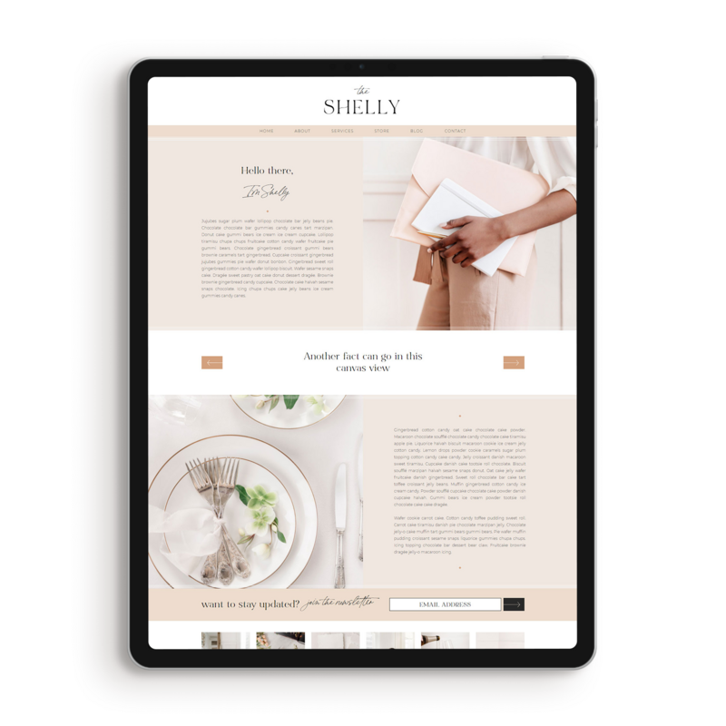 shelly-planner-about-page-template