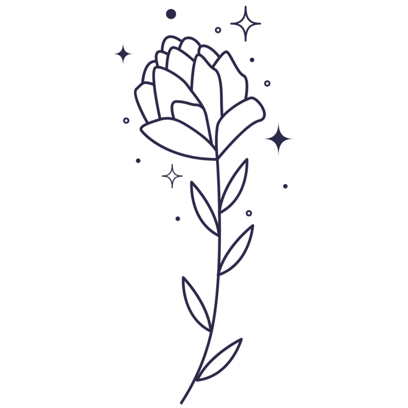 Delicate floral design element from the Stardust Branding Package by Moonlight Design Studio