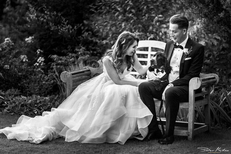 bride and groom sitting on bench with their dog