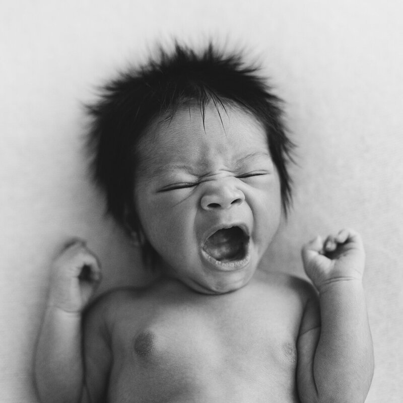 newborn photography perth