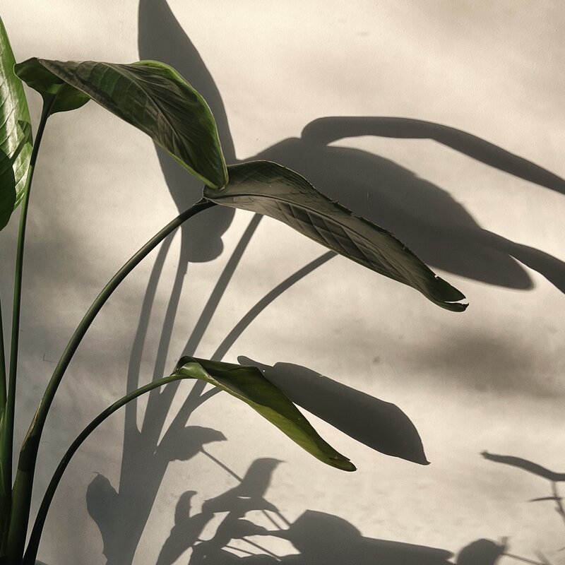 Our approach to therapy in Ojai is founded on our collaborative, empathetic approach