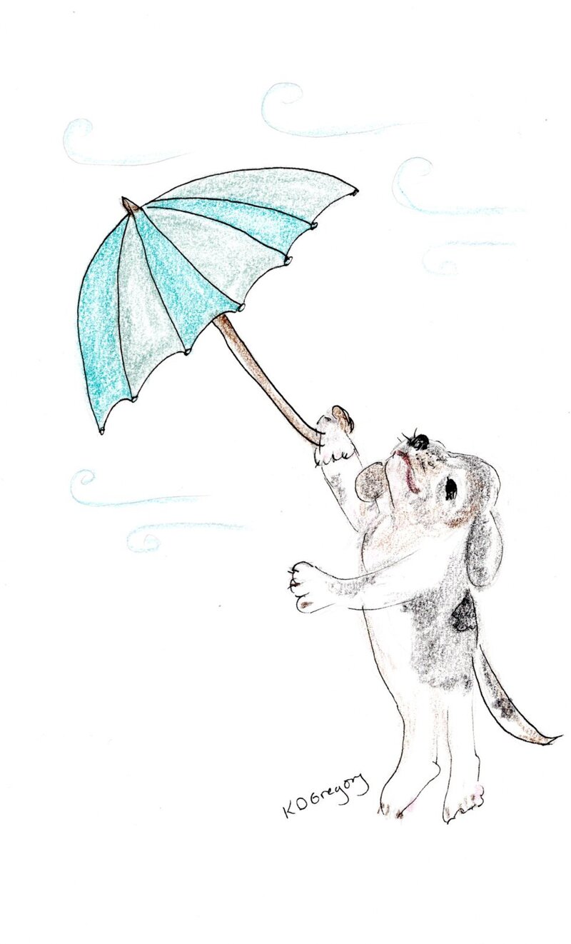 kd gregory whimsy - hang in there, April's coming