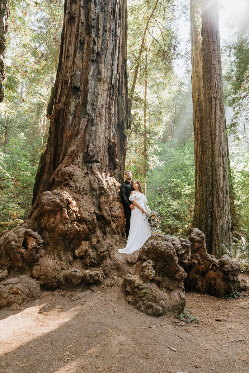 Newlyweds on a Redwood Tree | Photography by Jocelyn