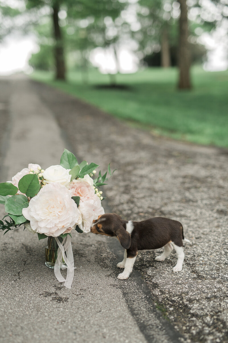 JonesPreview(22of74)