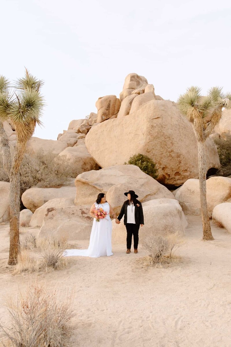 An lgbtq+ elopement in Joshua Tree National Park.