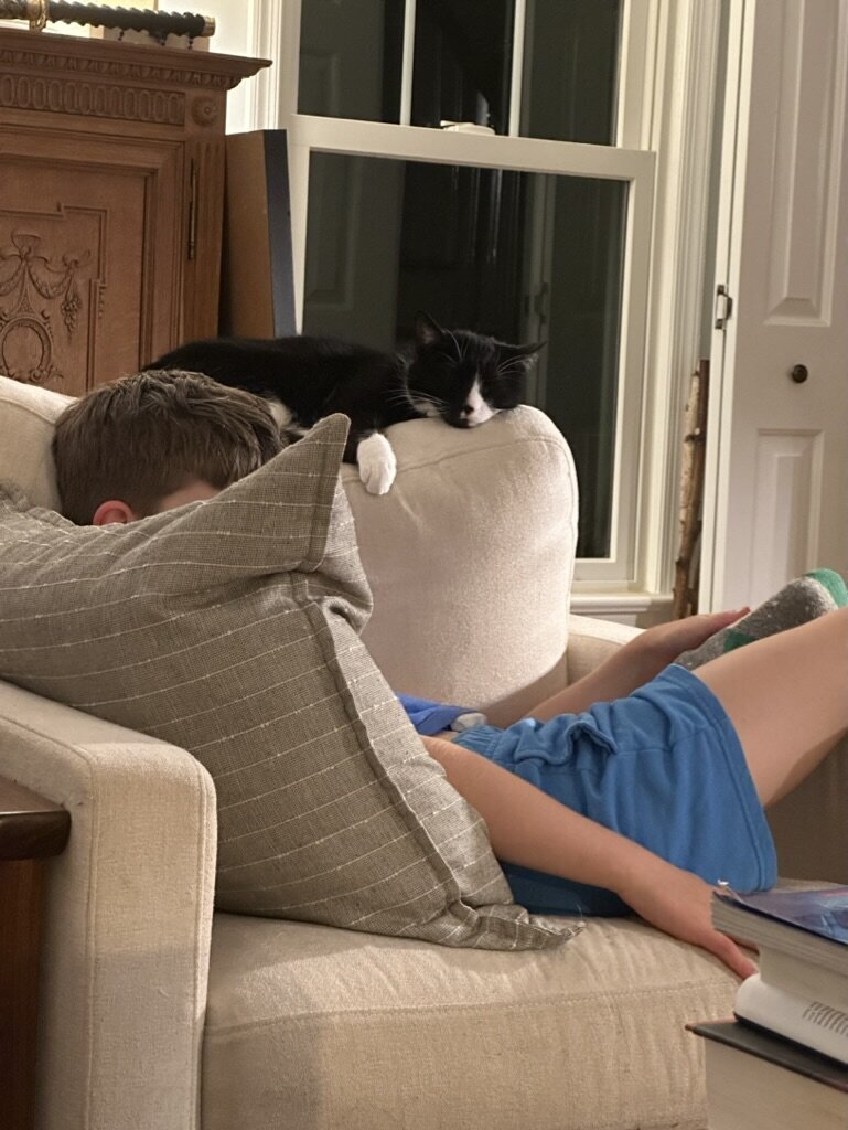 558B56A3-8229-4556-AA84-F6BFB5EE981B_1_105_c