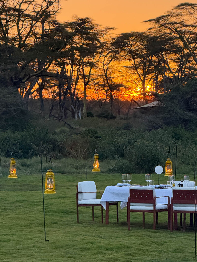 In Situ Travel Design-8