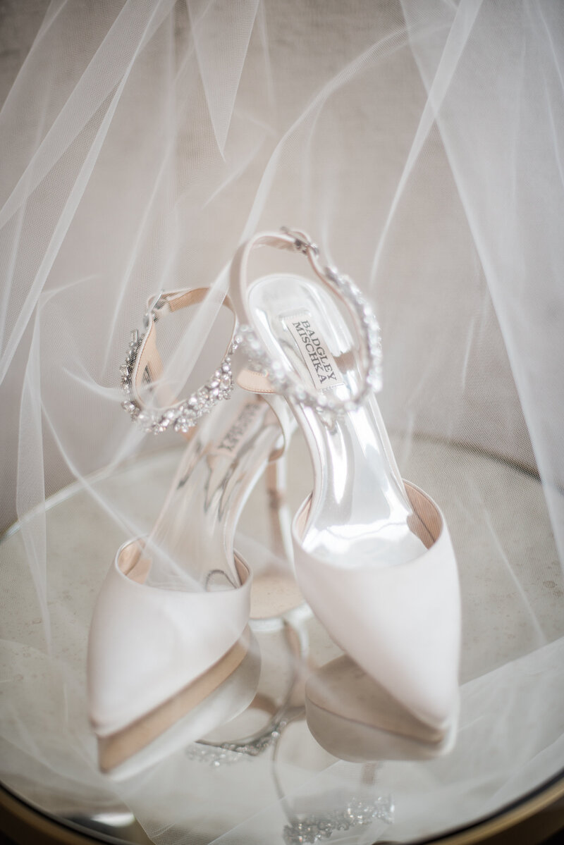 Bridal Wedding Shoes Badgley Mischka with Veil