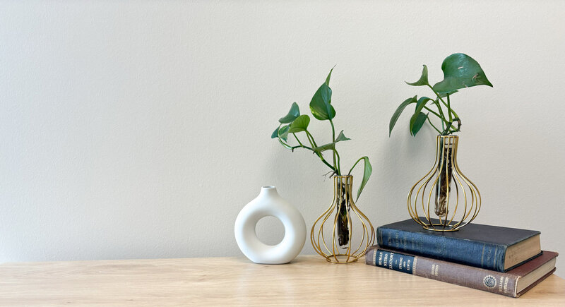 Decorative shelf with modern vases, greenery, and wellness books inside LivingTree Clinical Massage and Skin office
