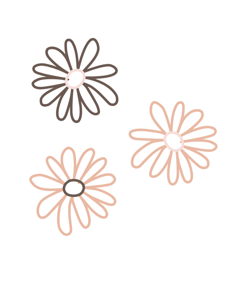 marguerite décorative