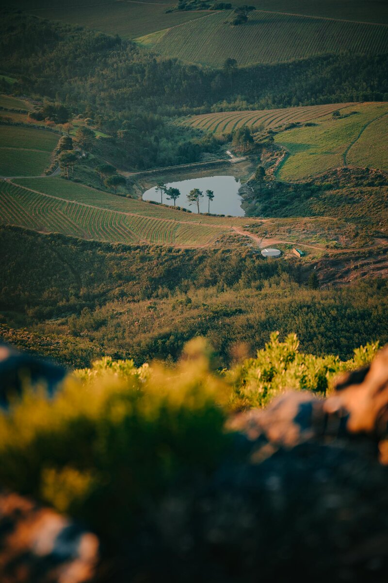 Wine country