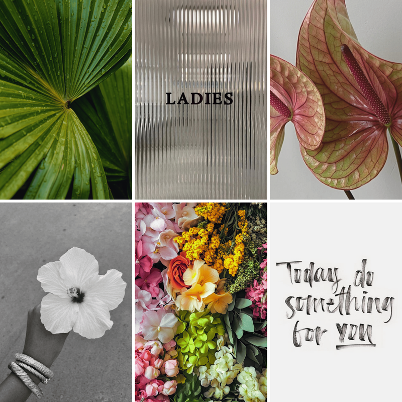 A mood board featuring images of a large green leaf, the word "LADIES" on a textured glass surface, a pink and green Anthurium flower, a black and white photo of a hand holding a white flower, a colorful arrangement of various flowers, and the handwritten phrase "Today do something for you."