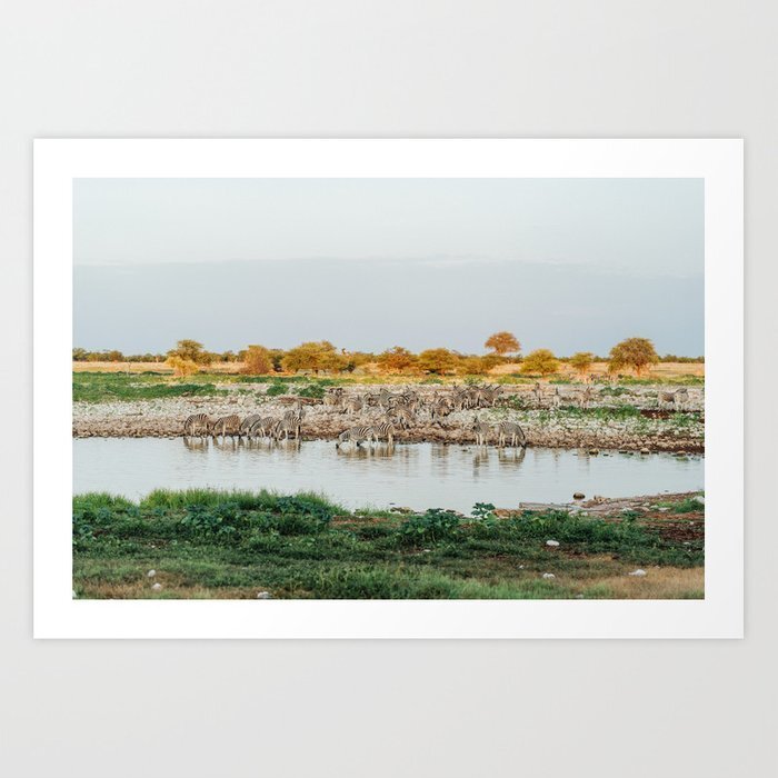 zeebras-namibia-travel-photography-prints