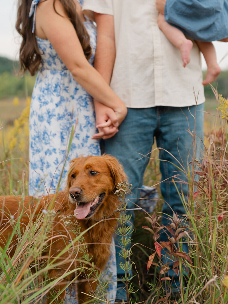 Classic-TruetoColor-Happy-SummerFamilyPictures-Bloomington-EdenPairie-Minnesota3