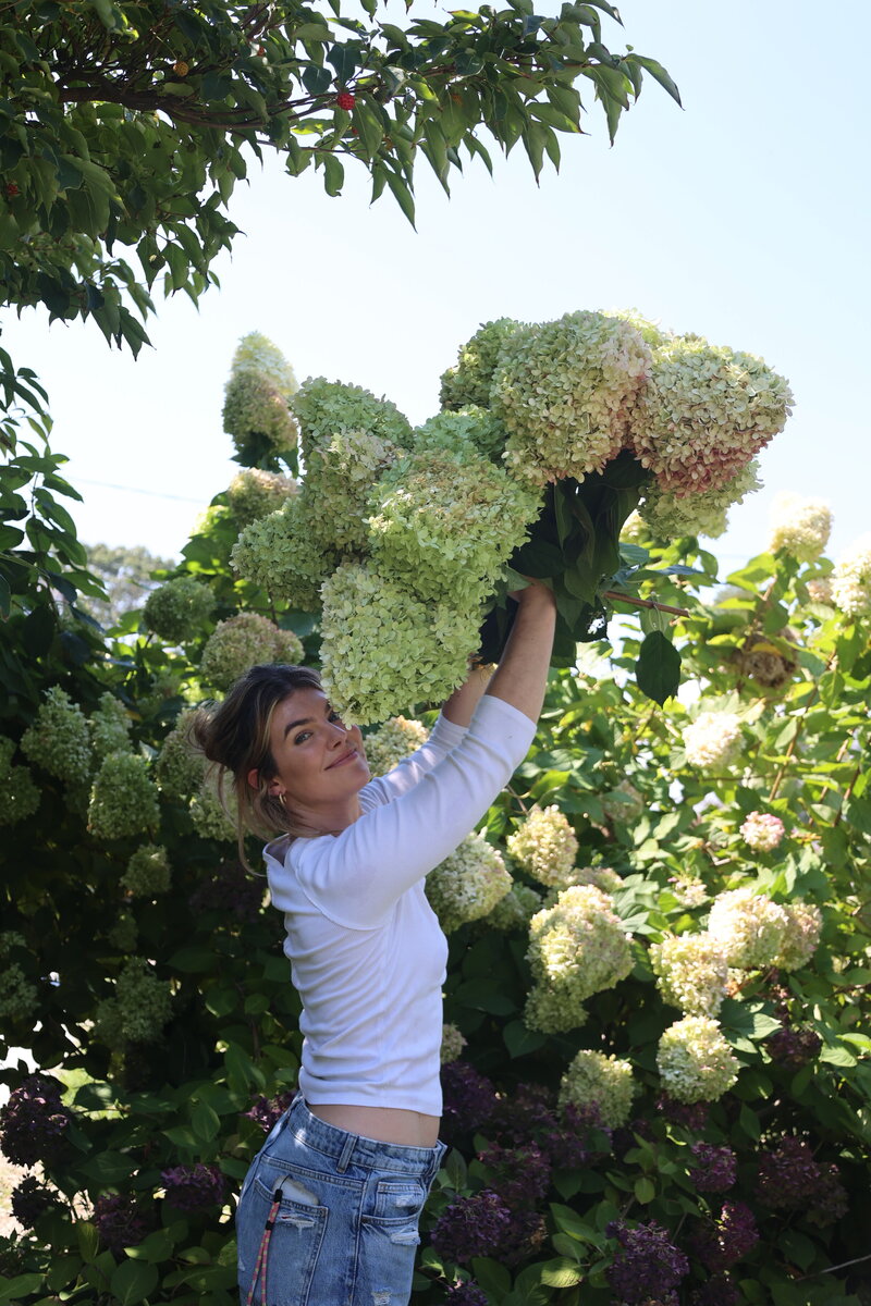 Clare Sullivan, nyc, Connecticut content creator and interior designer