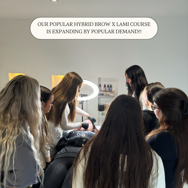 hybrid lami course