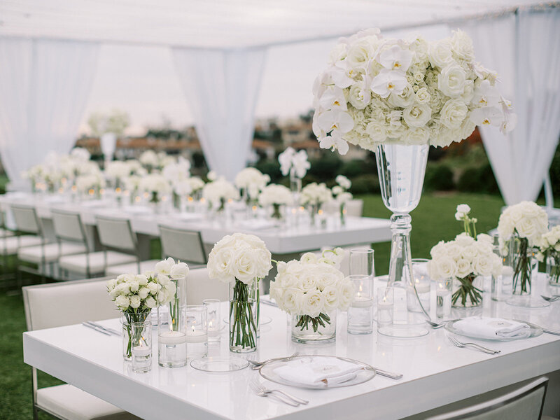 ericastreelman_jenesa and avi-423