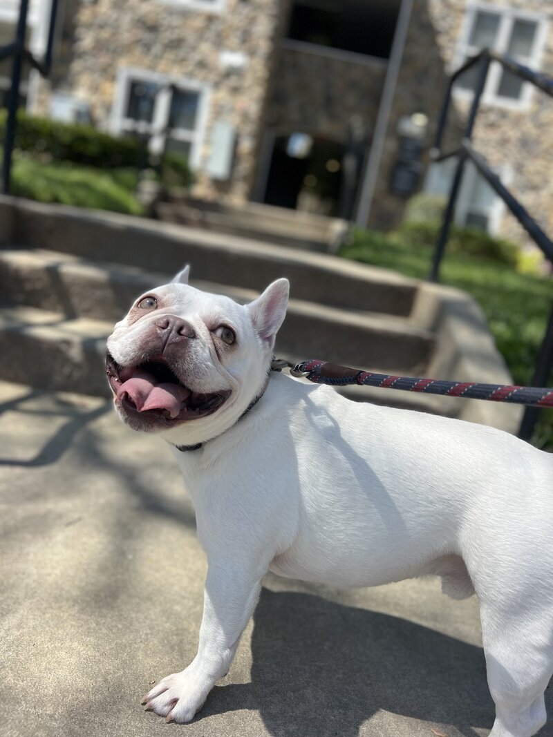 Smile walk