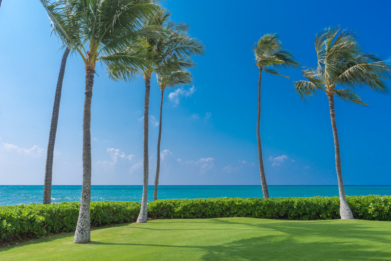 Find Outdoor Oahu Wedding Venues With Pricing Location Information