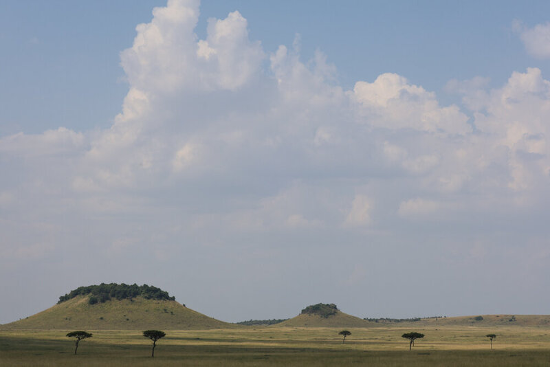 safariedited-410