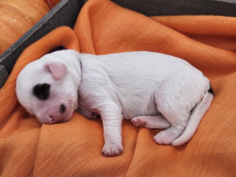 91128822-56c4-431a-8fef-053d11b72113