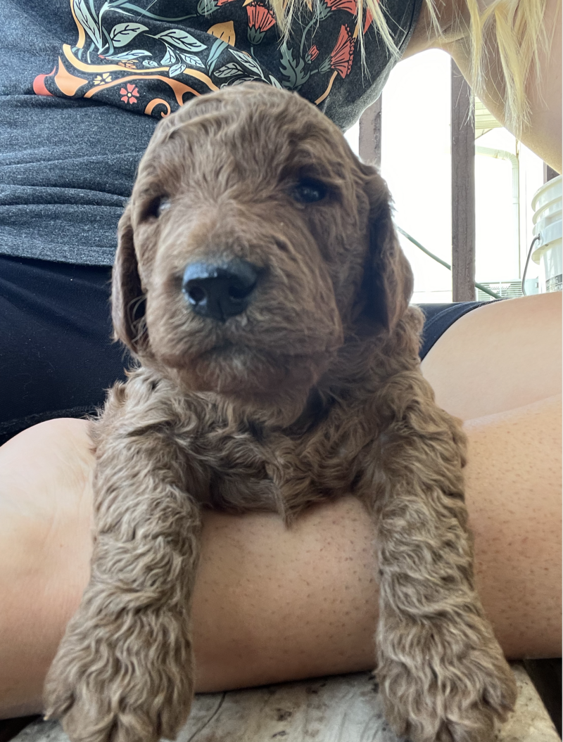 Screenshot 2024-09-13 at 7.36.44 AM