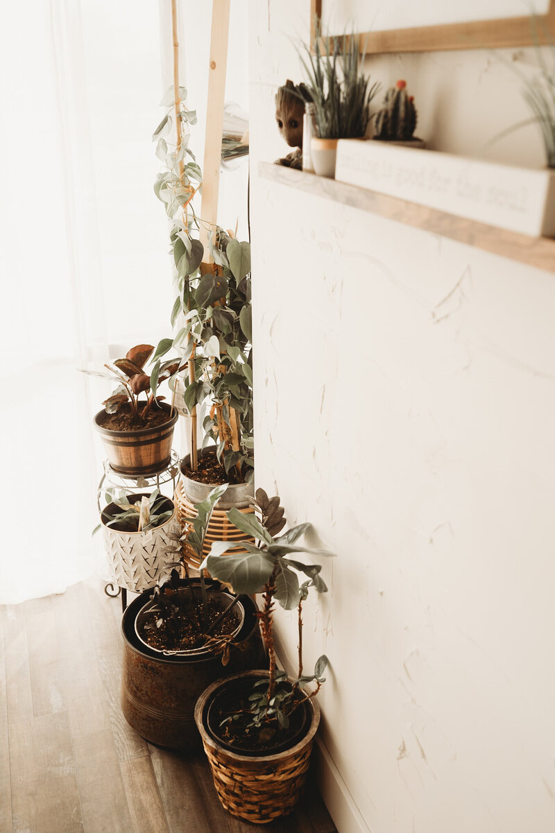 bismarck-lifestyle-studio-17