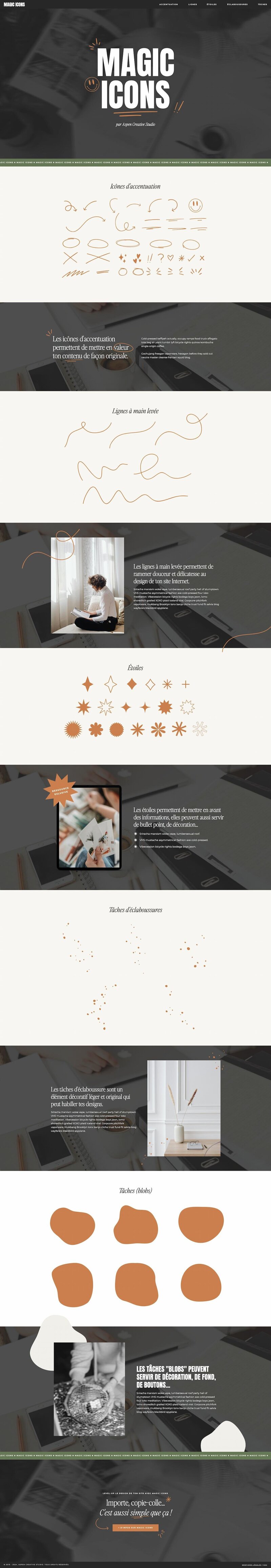 Capture d'écran du template de site Internet Showit Ash
