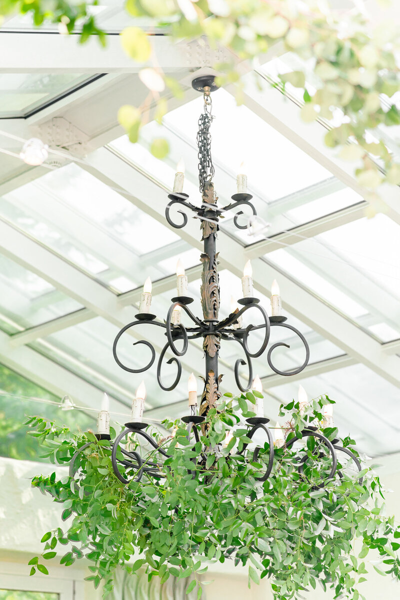 Chandelier covered in greenery hanging in a greenhouse wedding reception.
