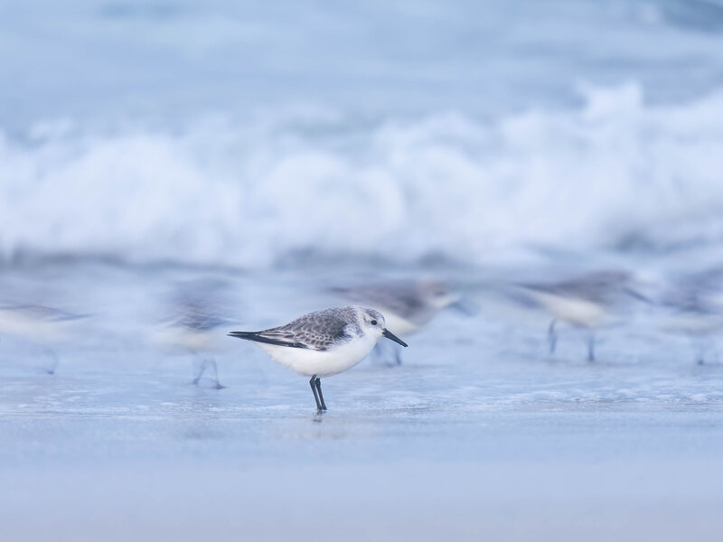 orkney workshop-20250306-P3062373_DxO