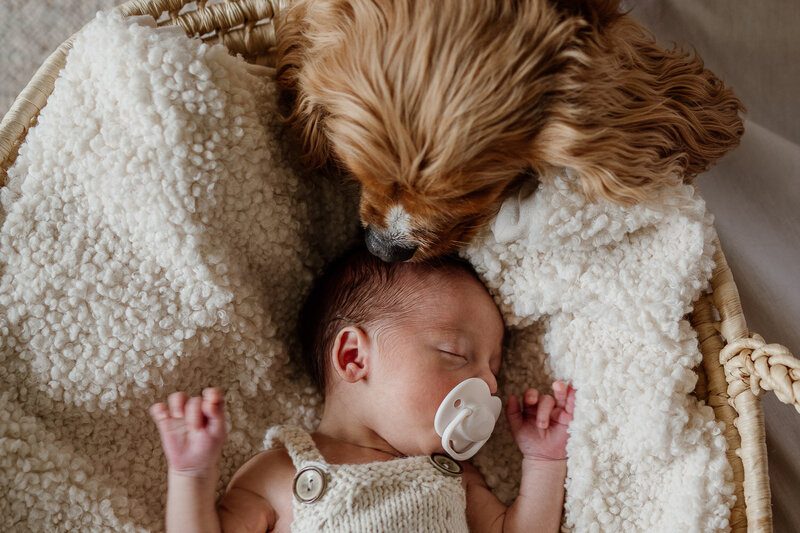 Nerissa J Photography offers candid family photography sessions in Sydney & beyond