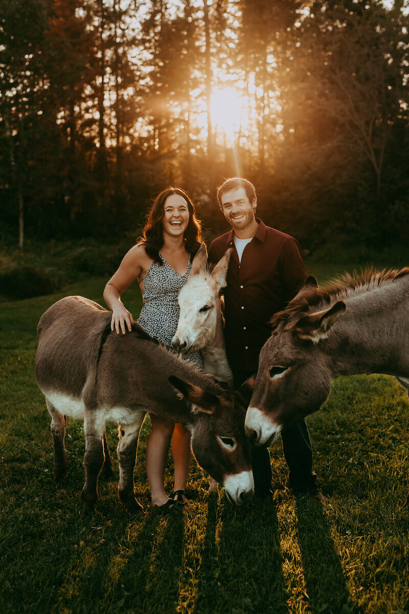 engaged-couple-with-donkeys