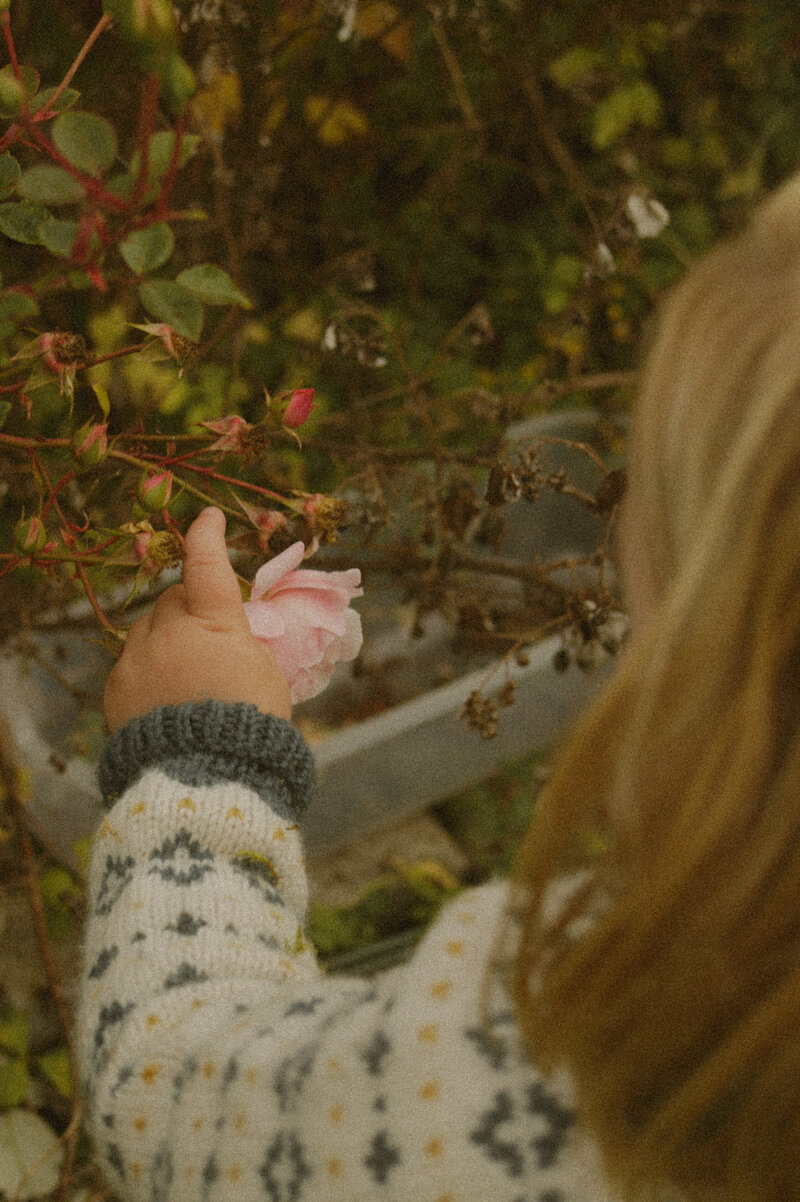SIG_0895