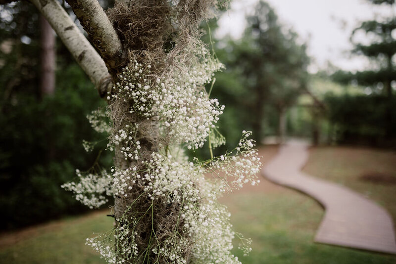 Shelby_Sam(210of843)