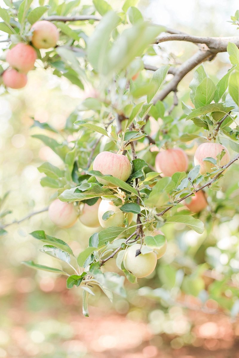 _Marissa___Nathan_(23_of_52)