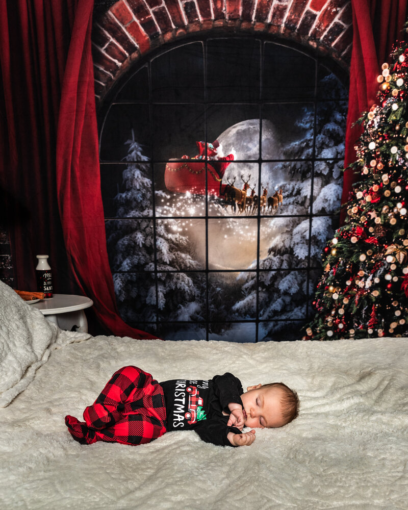Asheville christmas photographer Flaming lily studios-6