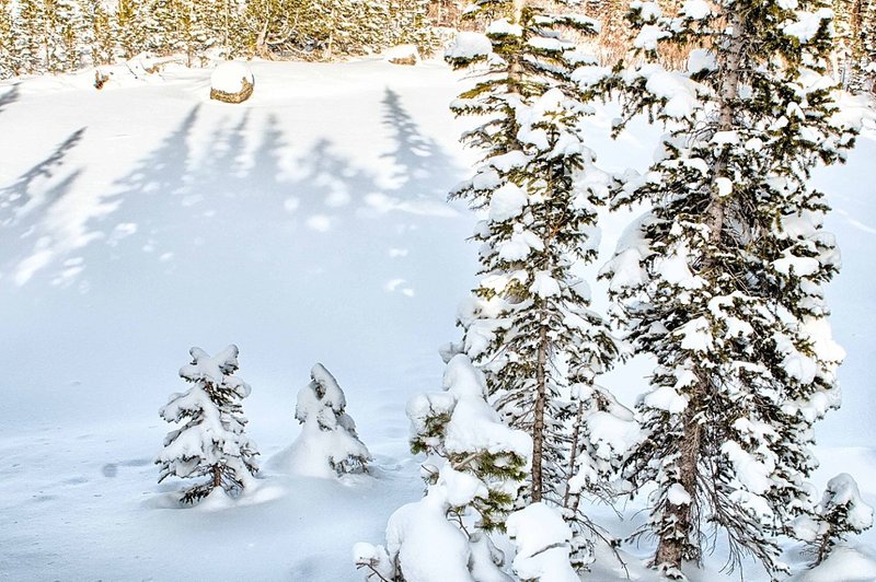 Snowy winter Colorado landscape