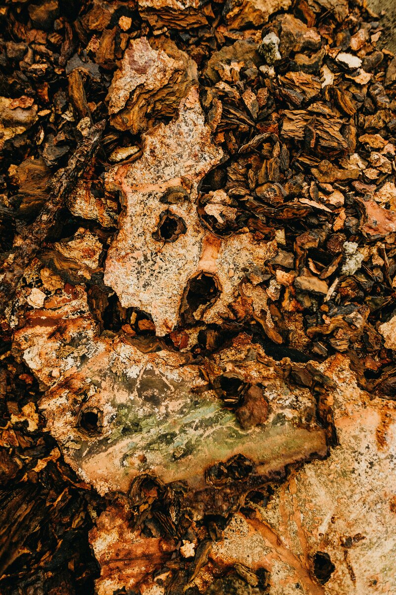 jonathan-borba-O0CDb-qzmHY-unsplash
