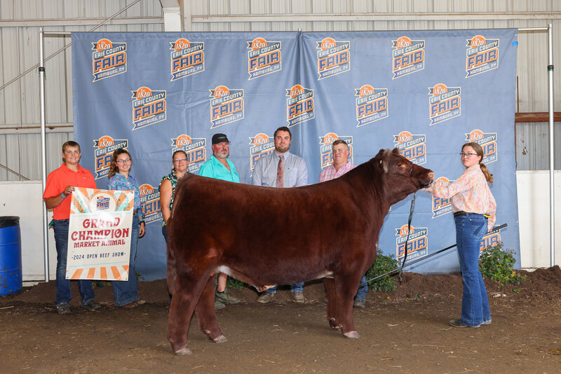 livestock photography