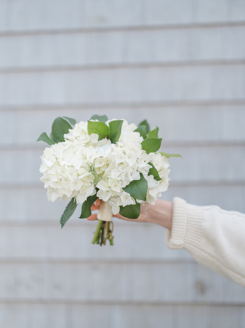 Gathered_BeachPlumFloral_-234