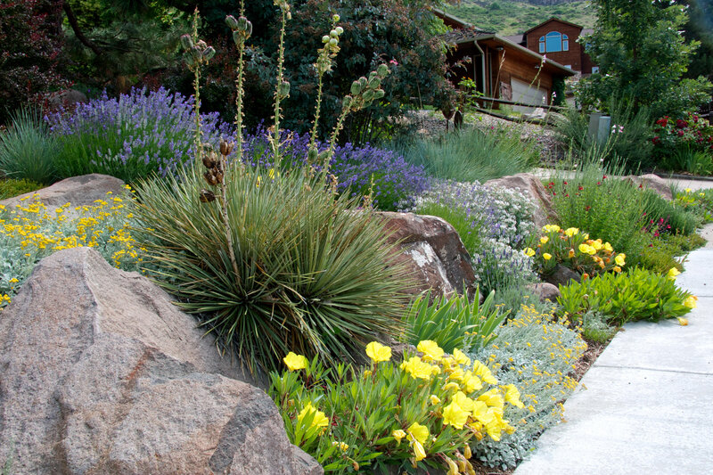 A vibrant garden with yellow and purple flowers, large rocks, and a spiky green plant in the foreground, with a log cabin in the background.