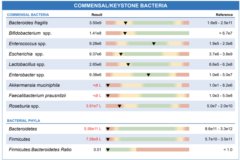 GI Map results of HubHealthy patient showing low levels of good bacteria.