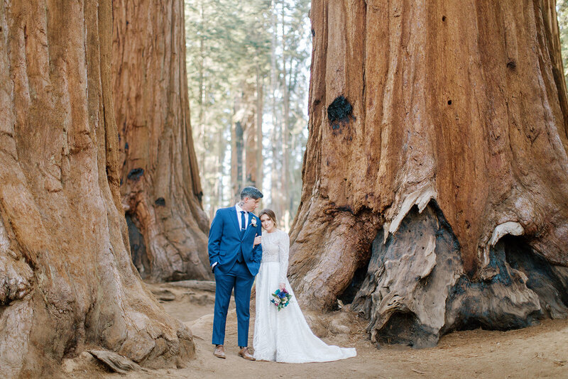 Sequoia National Park Engagement Session