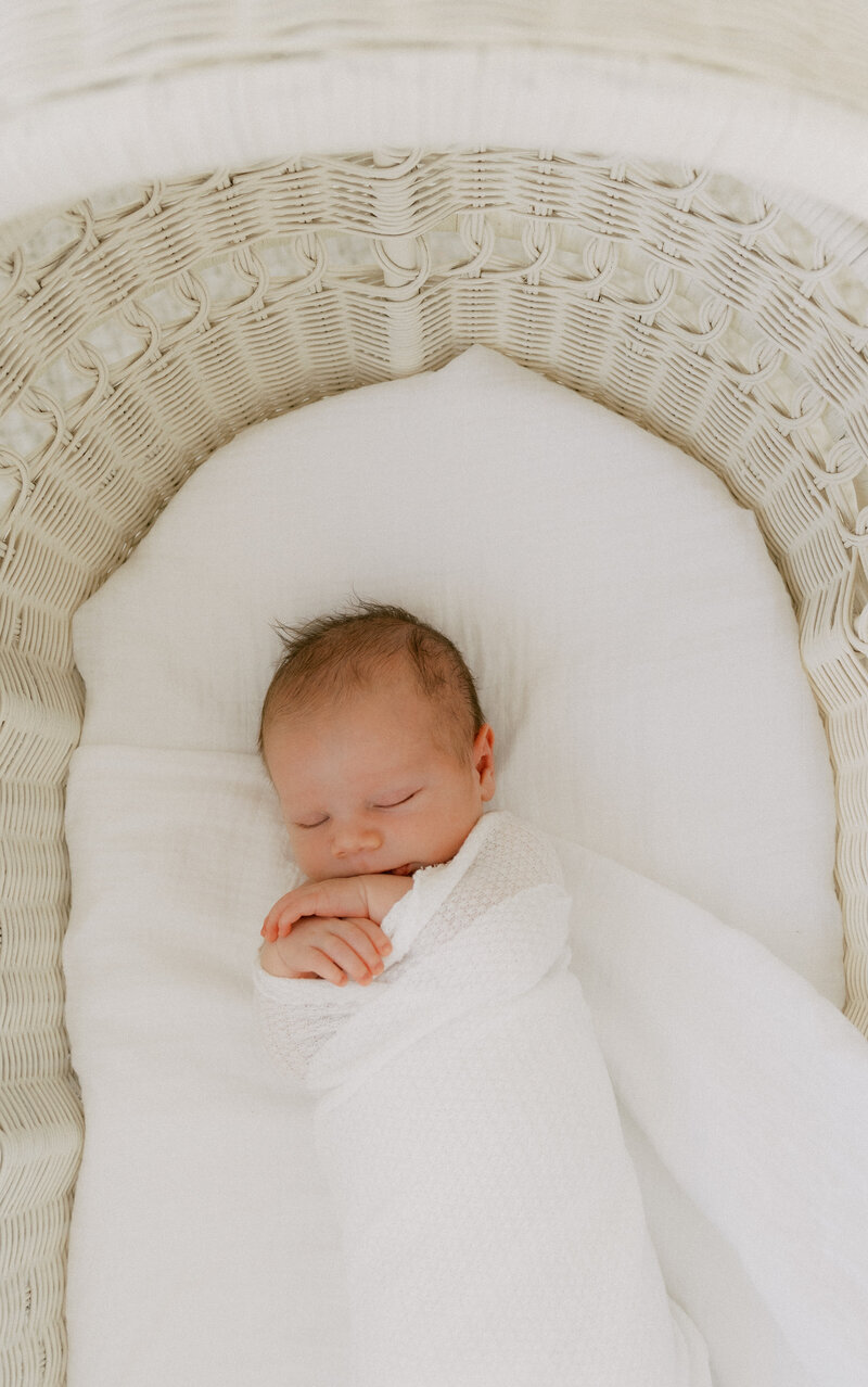 newborn in moses bassinet